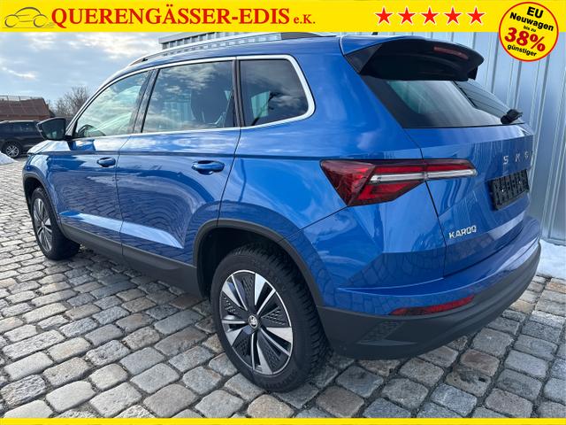Skoda / Karoq / Blau / / / 