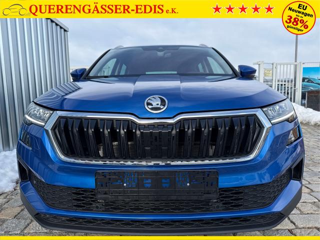 Skoda / Karoq / Blau / / / 