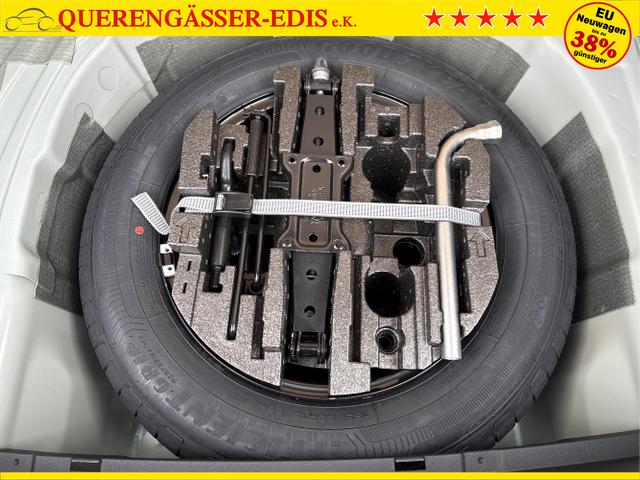 Skoda / Fabia / Gr&uuml;n / / / , Beispielbilder, ggf. teilweise mit Sonderausstattung