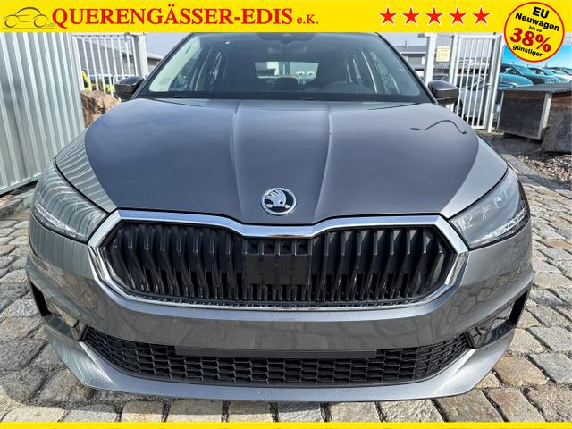 Skoda / Fabia / Grau / / / , Beispielbilder, ggf. teilweise mit Sonderausstattung