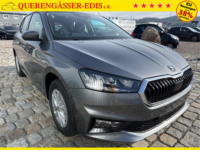 Skoda / Fabia / Grau / / / , Beispielbilder, ggf. teilweise mit Sonderausstattung