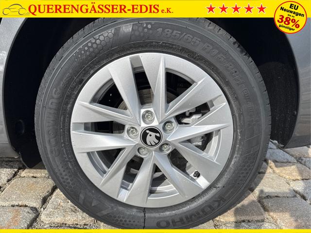 Skoda / Fabia / Grau / / / , Beispielbilder, ggf. teilweise mit Sonderausstattung