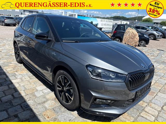 Skoda / Fabia / Grau / / / 