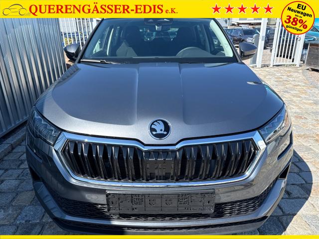 Skoda / Karoq / Grau / / / , Beispielbilder, ggf. teilweise mit Sonderausstattung