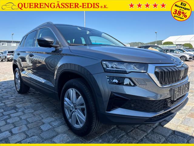 Skoda / Karoq / Grau / / / , Beispielbilder, ggf. teilweise mit Sonderausstattung