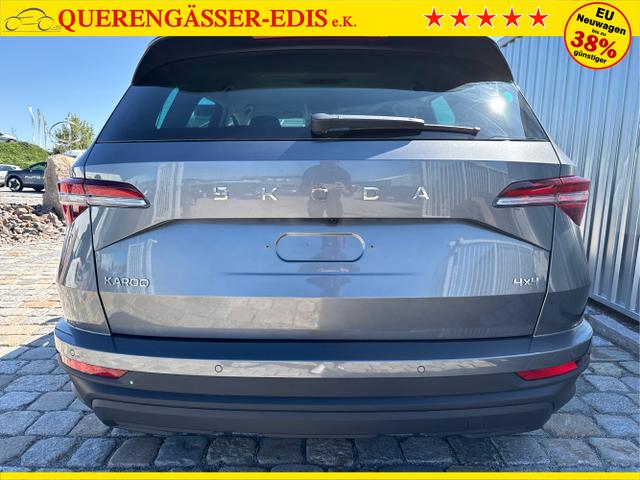 Skoda / Karoq / Grau / / / , Beispielbilder, ggf. teilweise mit Sonderausstattung
