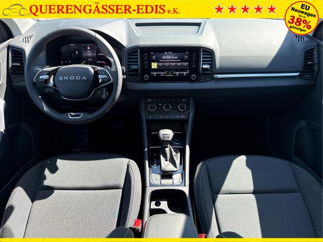 Skoda / Karoq / Grau / / / , Beispielbilder, ggf. teilweise mit Sonderausstattung
