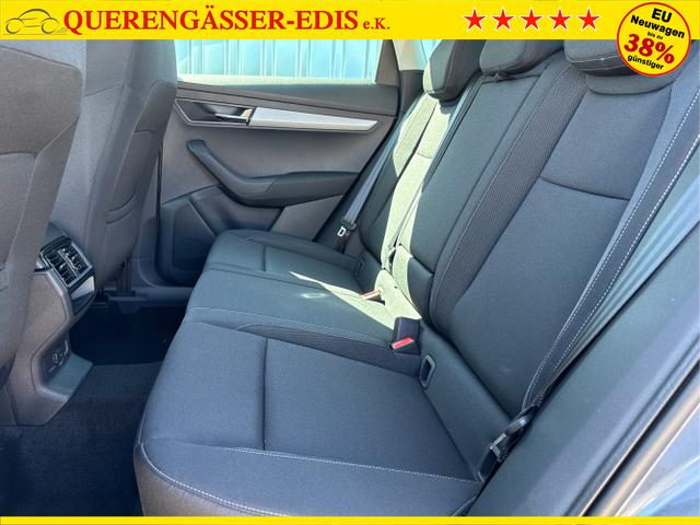 Skoda / Karoq / Grau / / / , Beispielbilder, ggf. teilweise mit Sonderausstattung