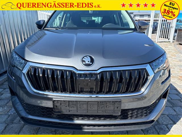 Skoda / Karoq / Grau / / / , Beispielbilder, ggf. teilweise mit Sonderausstattung