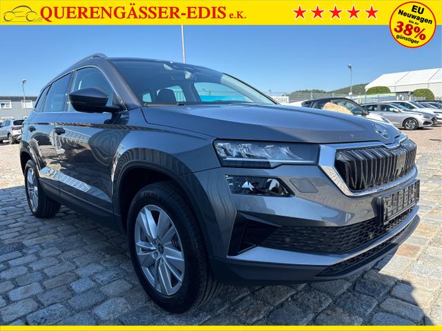 Skoda / Karoq / Grau / / / , Beispielbilder, ggf. teilweise mit Sonderausstattung