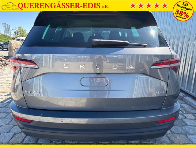 Skoda / Karoq / Grau / / / , Beispielbilder, ggf. teilweise mit Sonderausstattung