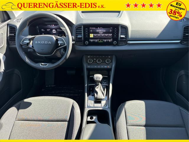 Skoda / Karoq / Grau / / / , Beispielbilder, ggf. teilweise mit Sonderausstattung