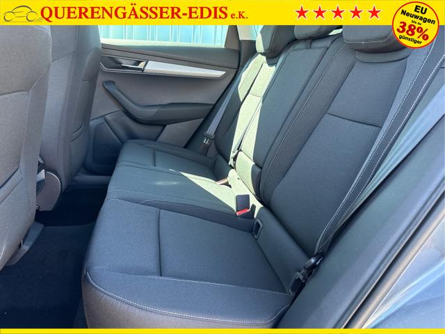Skoda / Karoq / Grau / / / , Beispielbilder, ggf. teilweise mit Sonderausstattung