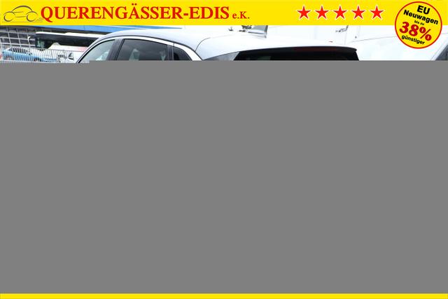 Renault Mégane E-TECH Iconic Megane EV60 220 OptiCharge Leder 