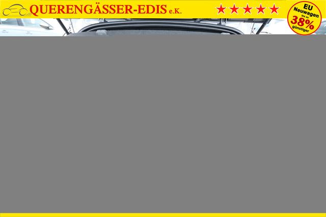 Renault Mégane E-TECH Iconic Megane EV60 220 OptiCharge Leder 