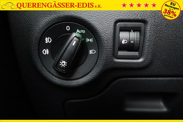 Skoda Fabia Selection 1.0 TSI Selection, Winter, Climatronic, 15-Zoll, Ladeboden 