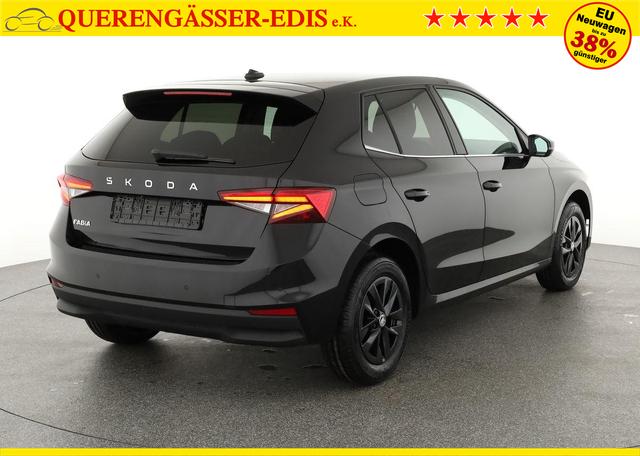 Skoda Fabia Selection 1.0 TSI Selection, Winter, Climatronic, 15-Zoll, Ladeboden 