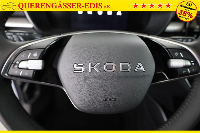 Skoda Fabia Selection 1.0 TSI Selection, 15-Zoll schwarz, Winter, Ladeboden 