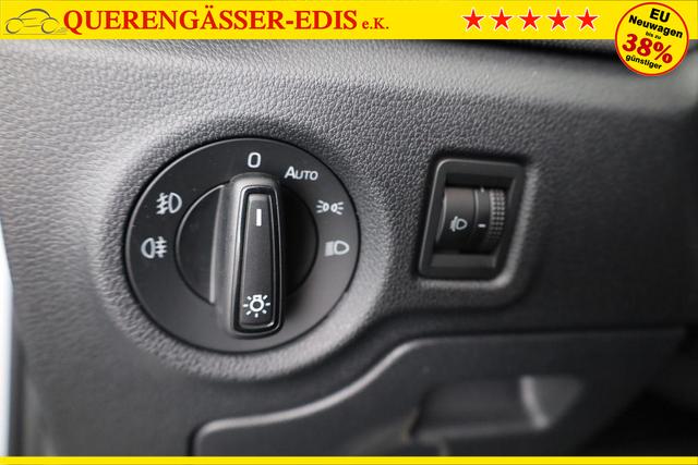 Skoda Fabia Selection 1.0 TSI Selection, 15-Zoll schwarz, Winter, Ladeboden 
