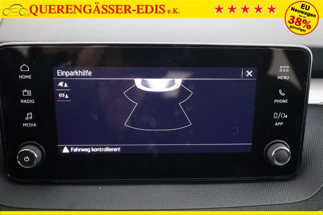 Skoda Fabia Selection 1.0 TSI Selection, 15-Zoll schwarz, Winter, Ladeboden 