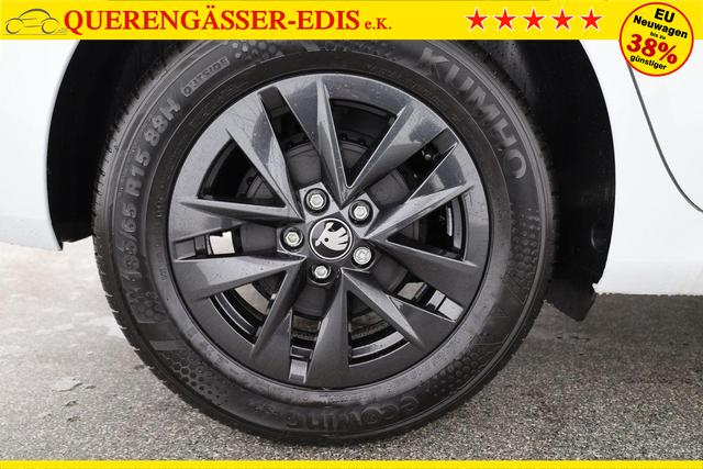 Skoda Fabia Selection 1.0 TSI Selection, 15-Zoll schwarz, Winter, Ladeboden 