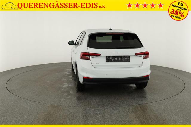 Skoda Fabia Selection 1.0 TSI Selection, 15-Zoll schwarz, Winter, Ladeboden 