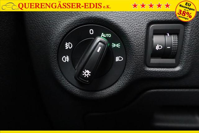 Skoda Fabia Selection 1.0 TSI Selection, Ladeboden, Park, Winterpaket, SmartLink, 4-J Garantie 