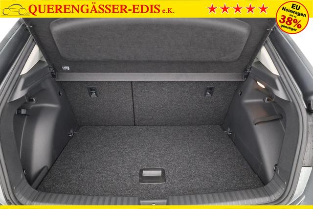 Skoda Fabia Selection 1.0 TSI Selection, Ladeboden, Park, Winterpaket, SmartLink, 4-J Garantie 