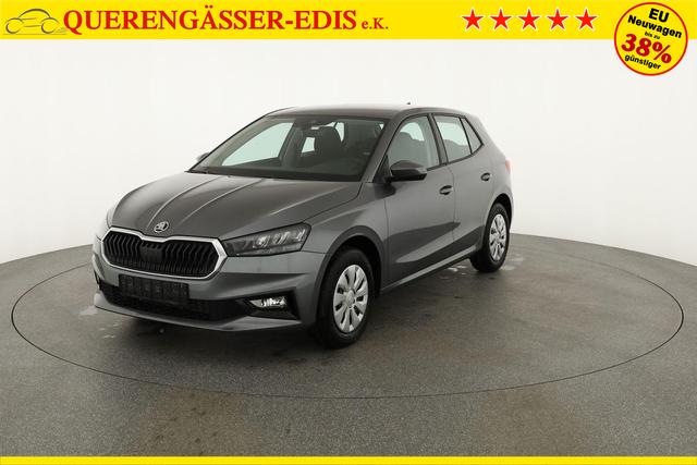 Skoda Fabia Selection 1.0 TSI Selection, Ladeboden, Park, Winterpaket, SmartLink, 4-J Garantie 