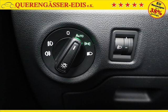 Skoda Fabia Selection 1.0 TSI Selection, Tempomat, Park, Winterpaket, SmartLink, 4-J Garantie 
