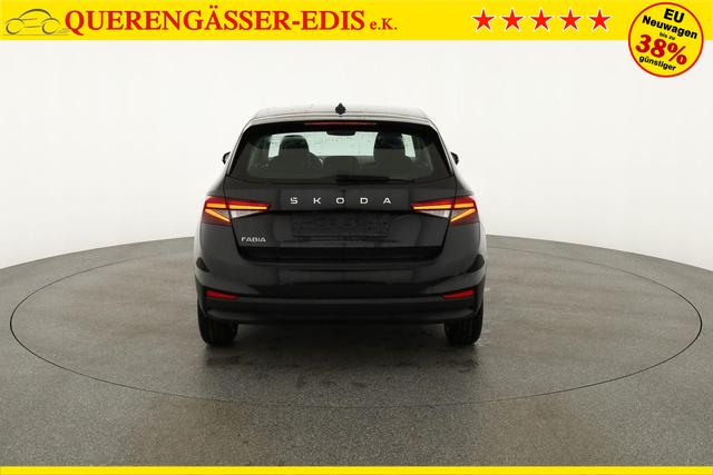 Skoda Fabia Selection 1.0 TSI Selection, Tempomat, Park, Winterpaket, SmartLink, 4-J Garantie 