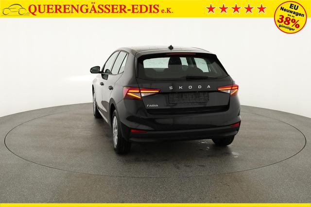 Skoda Fabia Selection 1.0 TSI Selection, Tempomat, Park, Winterpaket, SmartLink, 4-J Garantie 