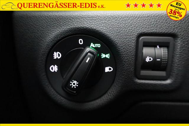 Skoda Fabia Selection 1.0 TSI Selection, Tempomat, Ladeboden, Park, Winterpaket, SmartLink, 4-J Garantie 