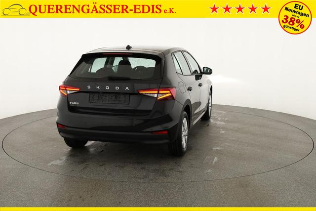 Skoda Fabia Selection 1.0 TSI Selection, Tempomat, Ladeboden, Park, Winterpaket, SmartLink, 4-J Garantie 