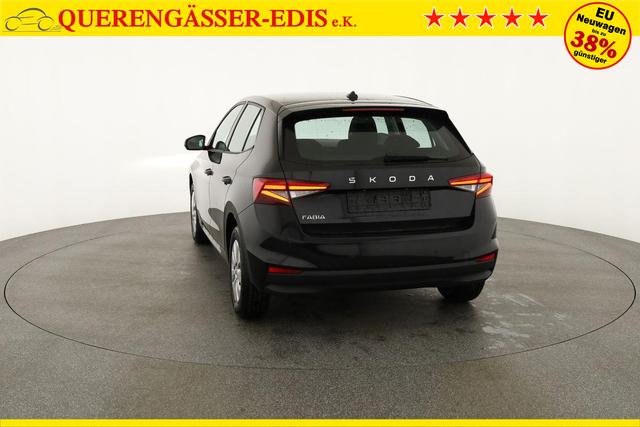Skoda Fabia Selection 1.0 TSI Selection, Tempomat, Ladeboden, Park, Winterpaket, SmartLink, 4-J Garantie 