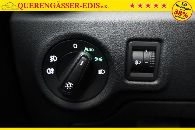 Skoda Fabia Selection 1.0 TSI Selection, Tempomat, Ladeboden, Park, Winterpaket, SmartLink, 4-J Garantie 