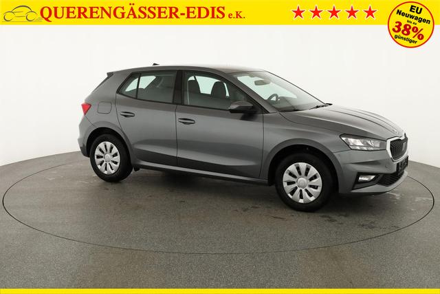Skoda Fabia Selection 1.0 TSI Selection, Tempomat, Ladeboden, Park, Winterpaket, SmartLink, 4-J Garantie 