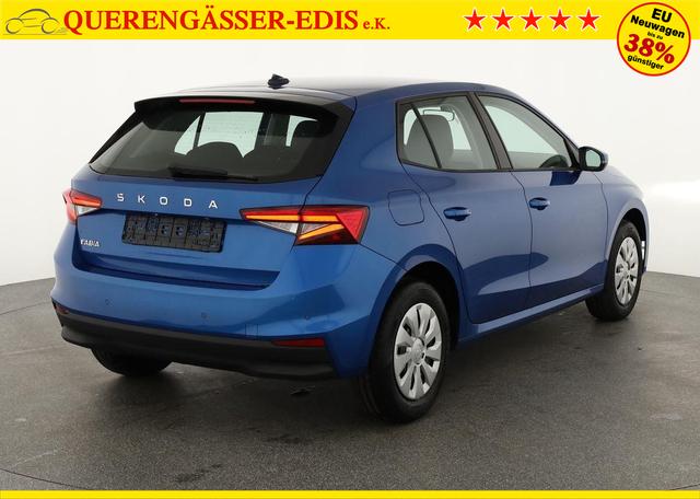 Skoda Fabia Selection 1.0 TSI Selection, Tempomat, Park, Winterpaket, SmartLink, 4-J Garantie 
