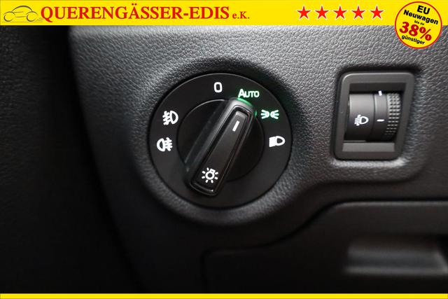 Skoda Fabia Selection 1.0 TSI Selection, Tempomat, Park, Winterpaket, SmartLink, 4-J Garantie 