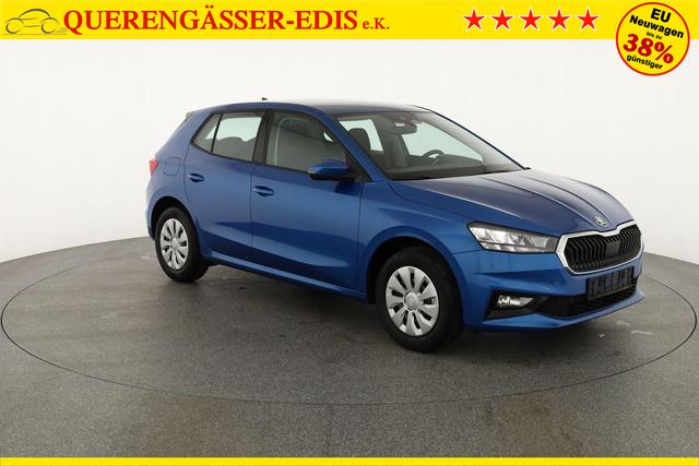 Skoda Fabia Selection 1.0 TSI Selection, Tempomat, Park, Winterpaket, SmartLink, 4-J Garantie 