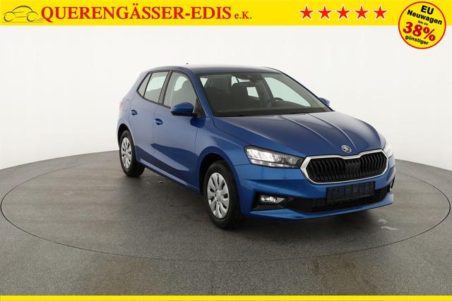 Skoda Fabia Selection 1.0 TSI Selection, Tempomat, Park, Winterpaket, SmartLink, 4-J Garantie 