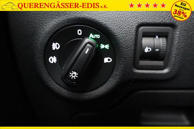 Skoda Fabia Selection 1.0 TSI Selection, Tempomat, Park, Winterpaket, SmartLink, 4-J Garantie 