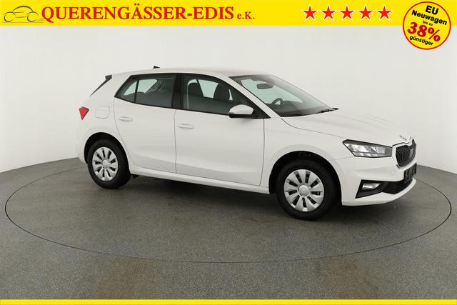 Skoda Fabia Selection 1.0 TSI Selection, Tempomat, Park, Winterpaket, SmartLink, 4-J Garantie 