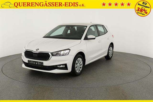 Skoda Fabia Selection 1.0 TSI Selection, Tempomat, Park, Winterpaket, SmartLink, 4-J Garantie 