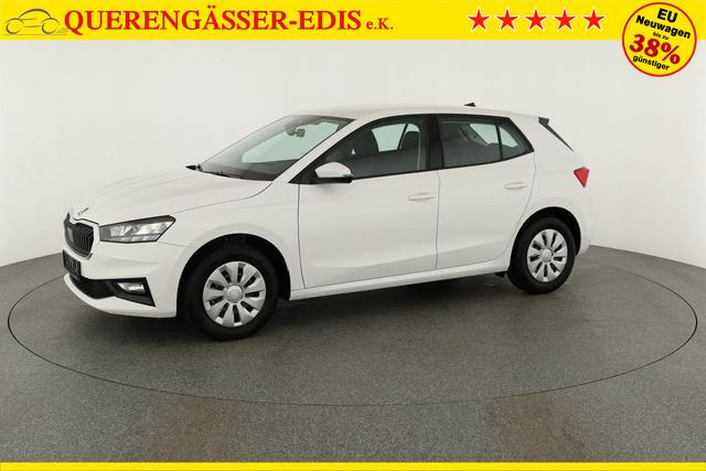 Skoda Fabia Selection 1.0 TSI Selection, Tempomat, Park, Winterpaket, SmartLink, 4-J Garantie 