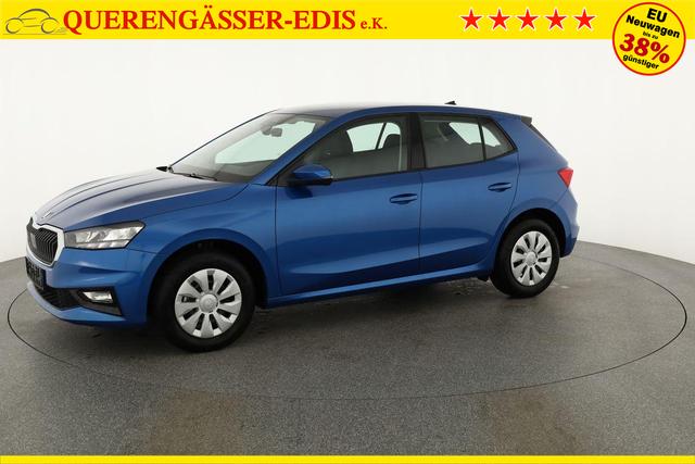 Skoda Fabia Selection 1.0 TSI Selection, Ladeboden, Park, Winterpaket, SmartLink, 4-J Garantie 