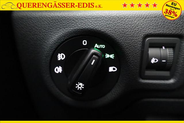 Skoda Fabia Selection 1.0 TSI Selection, Tempomat, Ladeboden, Park, Winterpaket, SmartLink, 4-J Garantie 