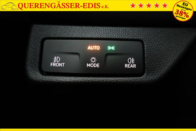 Cupra Terramar 2.0 TSI 150 kW 4Drive DSG 4Drive, Standheizung, AHK, AreaView, sofort 