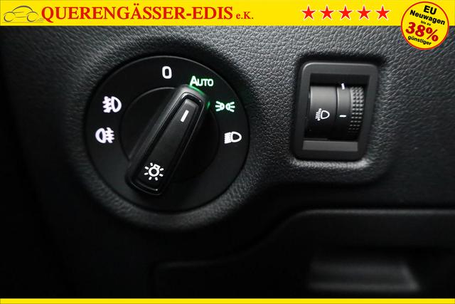 Skoda Fabia Selection 1.0 TSI Selection, Park, Winterpaket, SmartLink, 4-J Garantie 