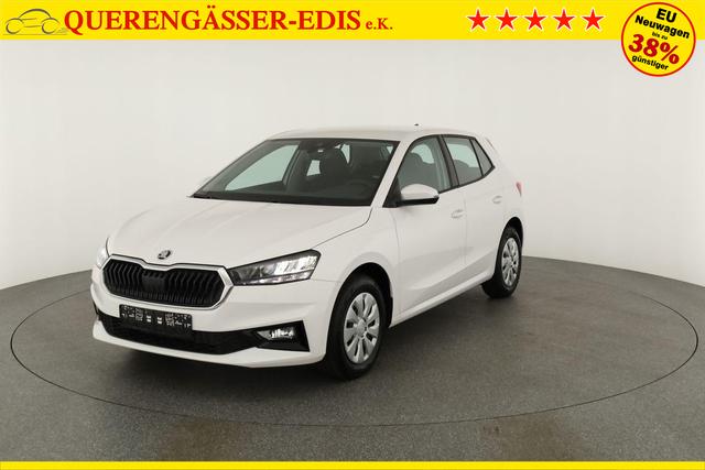 Skoda Fabia Selection 1.0 TSI Selection, Park, Winterpaket, SmartLink, 4-J Garantie 